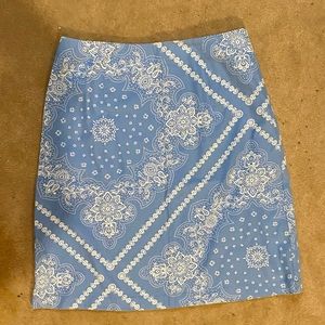 Pencil Skirt